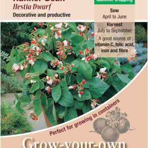 Runner Bean, Hestia Dwarf