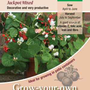 Runner Bean, Jackpot Mixed