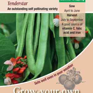 Runner Bean, Tenderstar