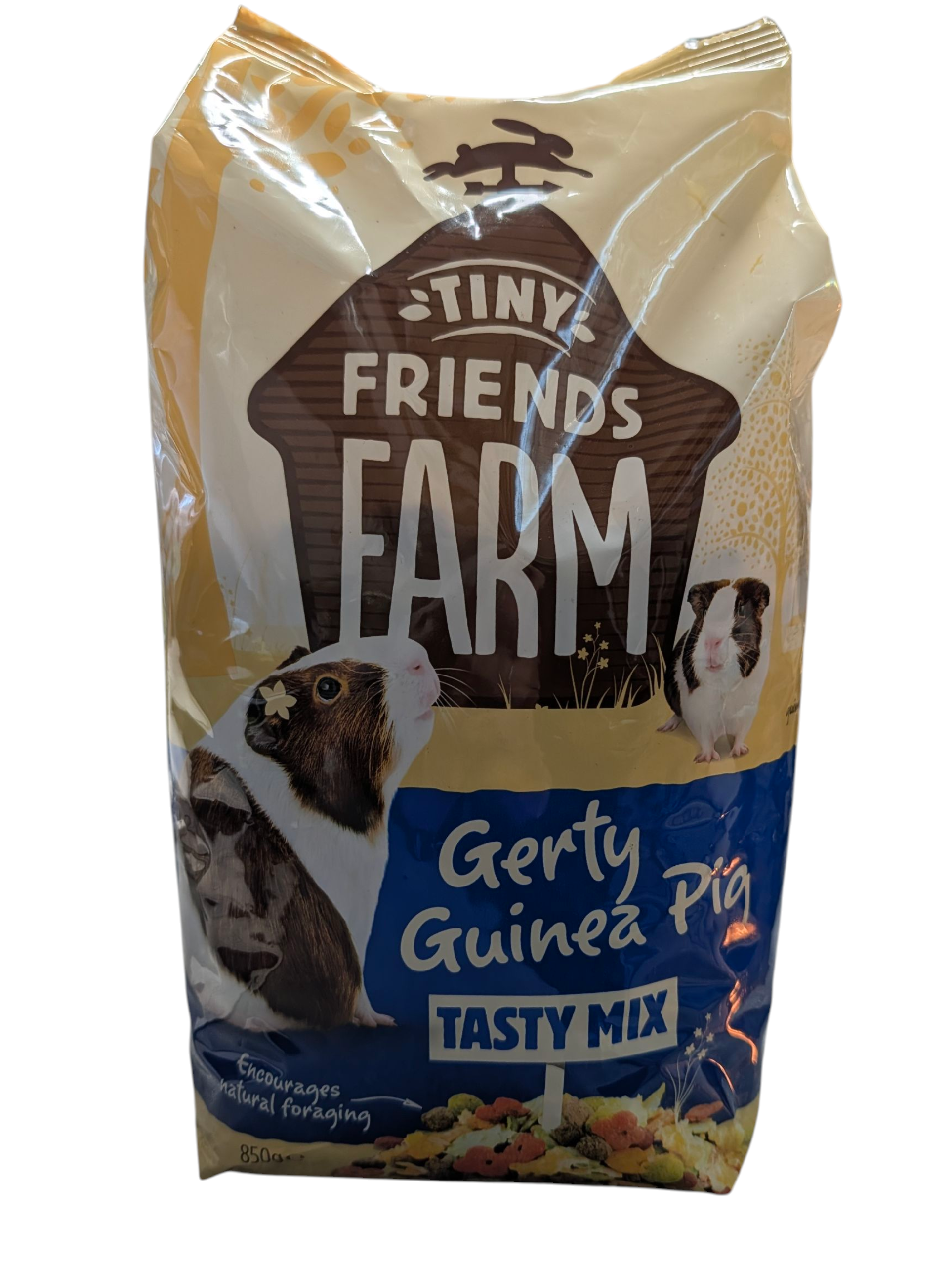 Gerty Guinea Pig - Tasty Mix