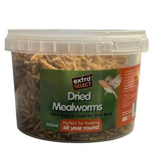 Dried Mealworms