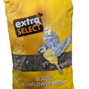 Black Sunflower Seeds 1kg