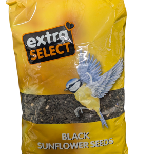 Black Sunflower Seeds 1kg
