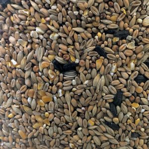 Seed Mix