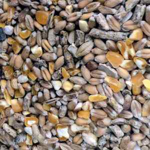 Blend/D'light 20kg