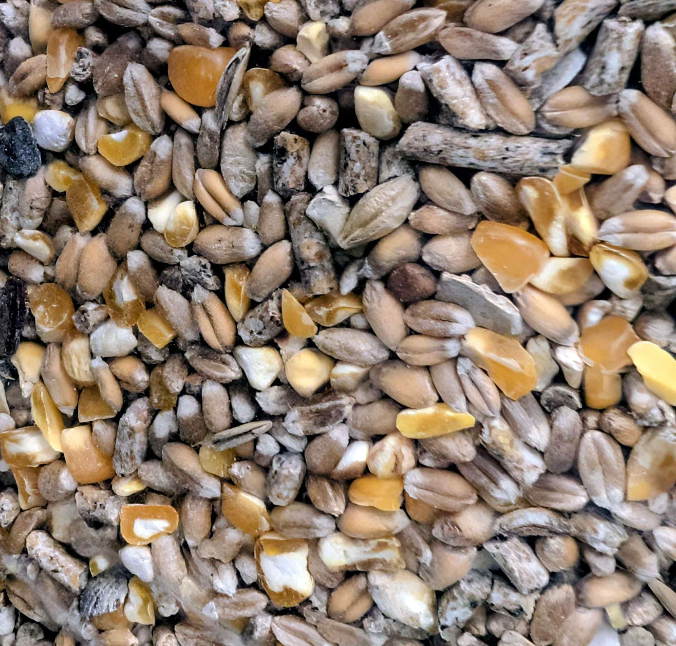 Blend/D'light 20kg