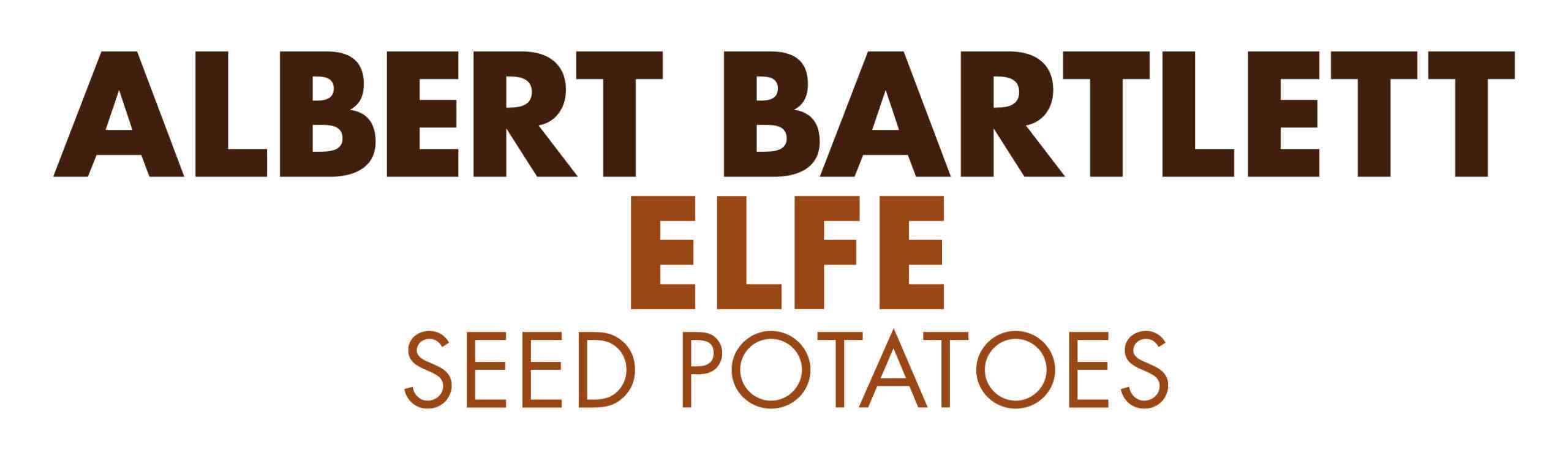 Elfe - Image 2