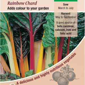 Beet, Leaf Rainbow Chard