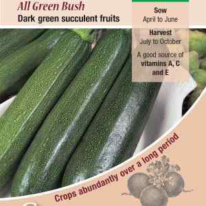Courgette, All Green Bush