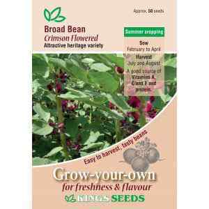 Broad Bean, Crimson Flowered