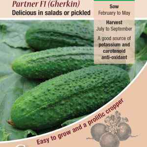 Cucumber, Partner F1 (Gherkin)