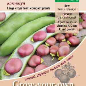 Broad Bean, Karmazyn