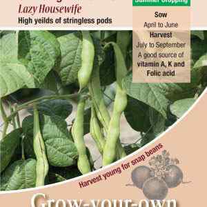 Climbing French Bean, Lazy Housewife