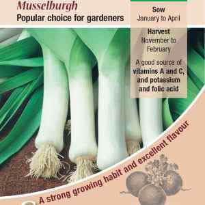 Leek, Musselburgh