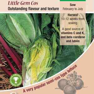 Lettuce, Little Gem Cos