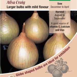 Onion, Ailsa Craig