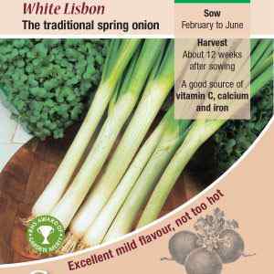 Onion (Spring), White Lisbon