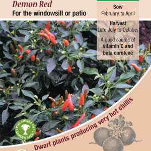 Pepper (Chilli), Demon Red