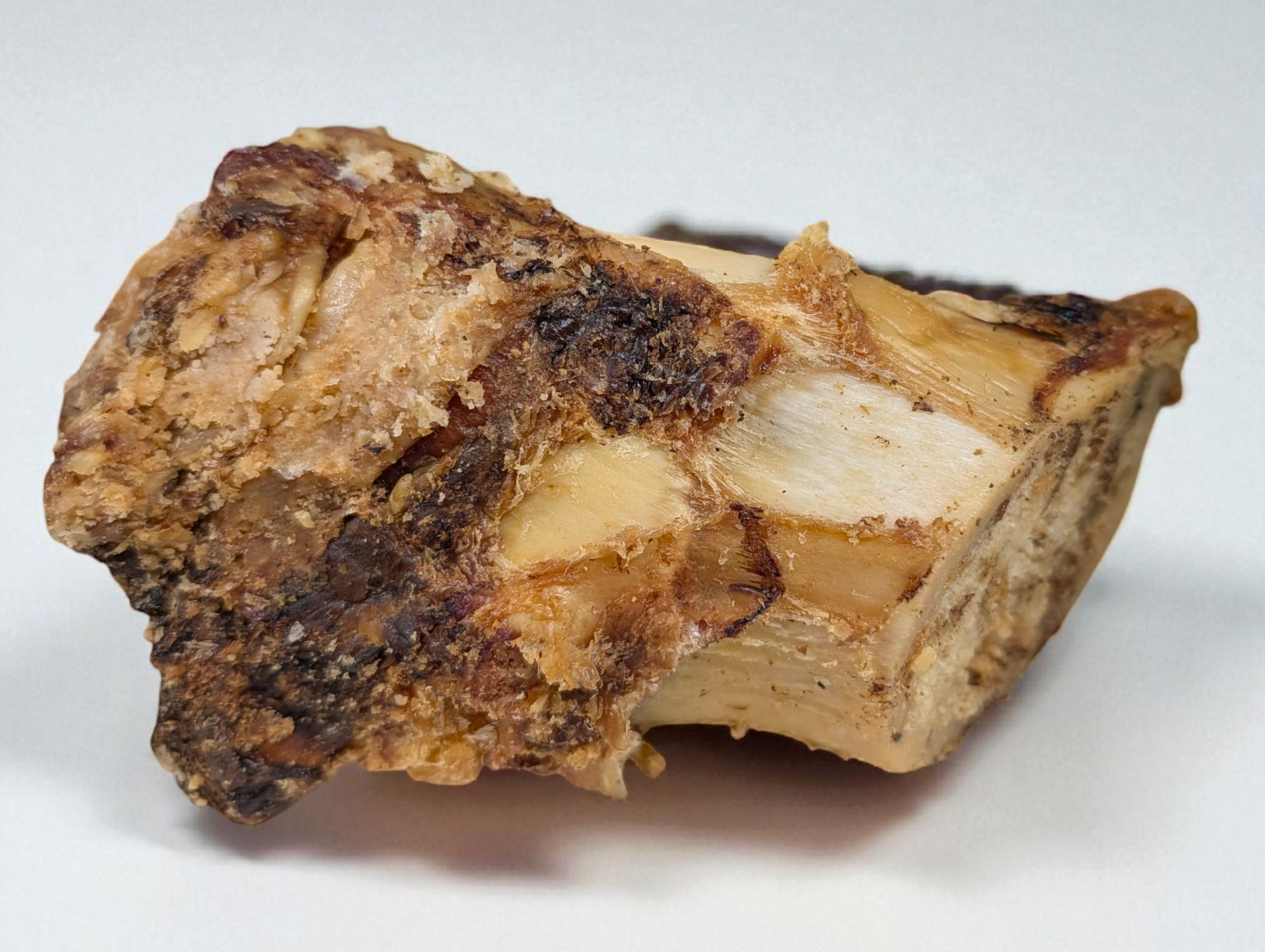 Large Roast Knuckle Bone