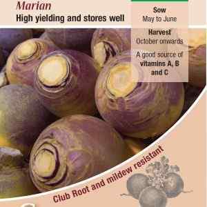 Swede, Marian