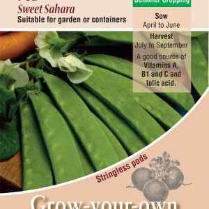 Pea, Sweet Sahara (Mangetout)