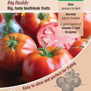 Tomato, Big Daddy