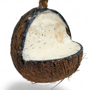 Whole Filled Mealworm Coconut Suet Feeder