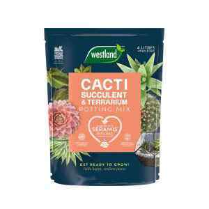 Westland Cacti & Succulent Potting Mix 4L