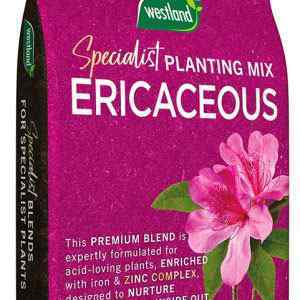 Ericaceous