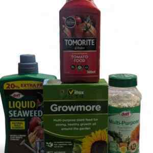 Plant Feed